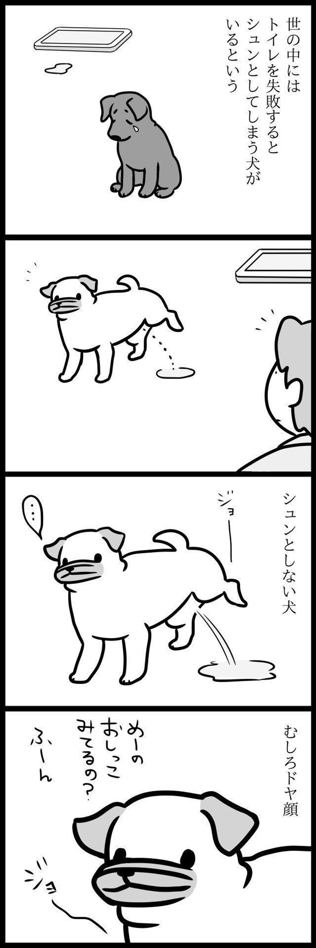 むしろドヤ顔で 連載 パグ犬 めー Vol 23 いぬのきもちweb Magazine むしろドヤ顔で 連載 パグ犬 めー Vol 23 いぬのきもちweb Magazine