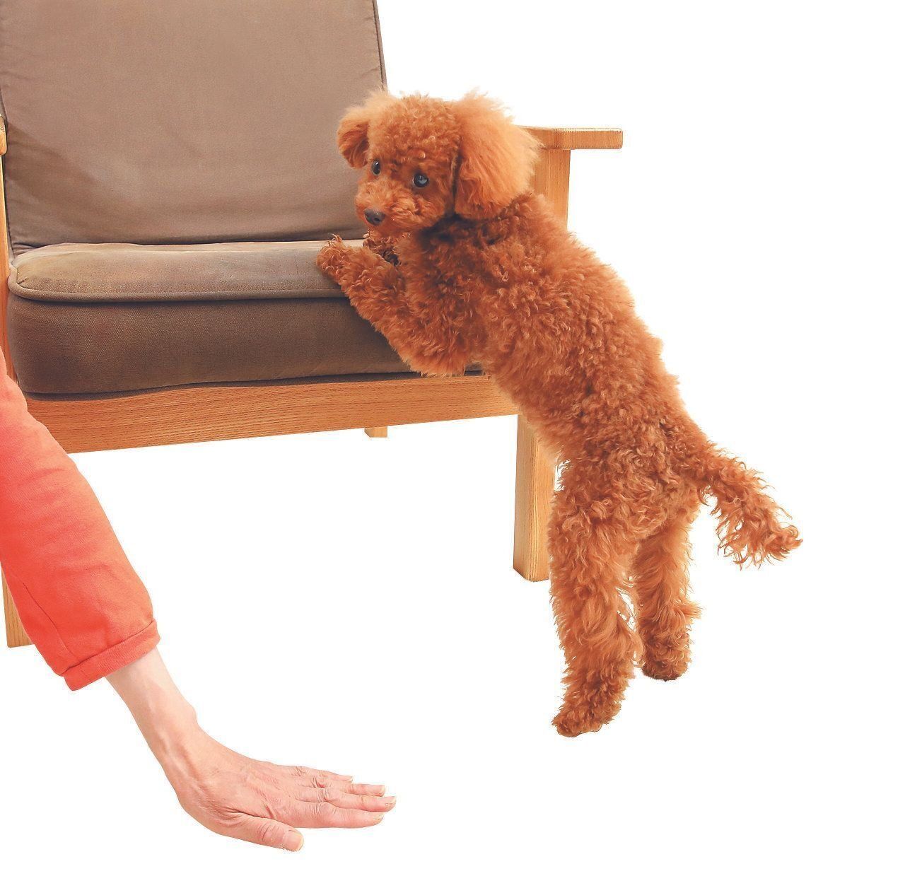 撮影／尾﨑たまき