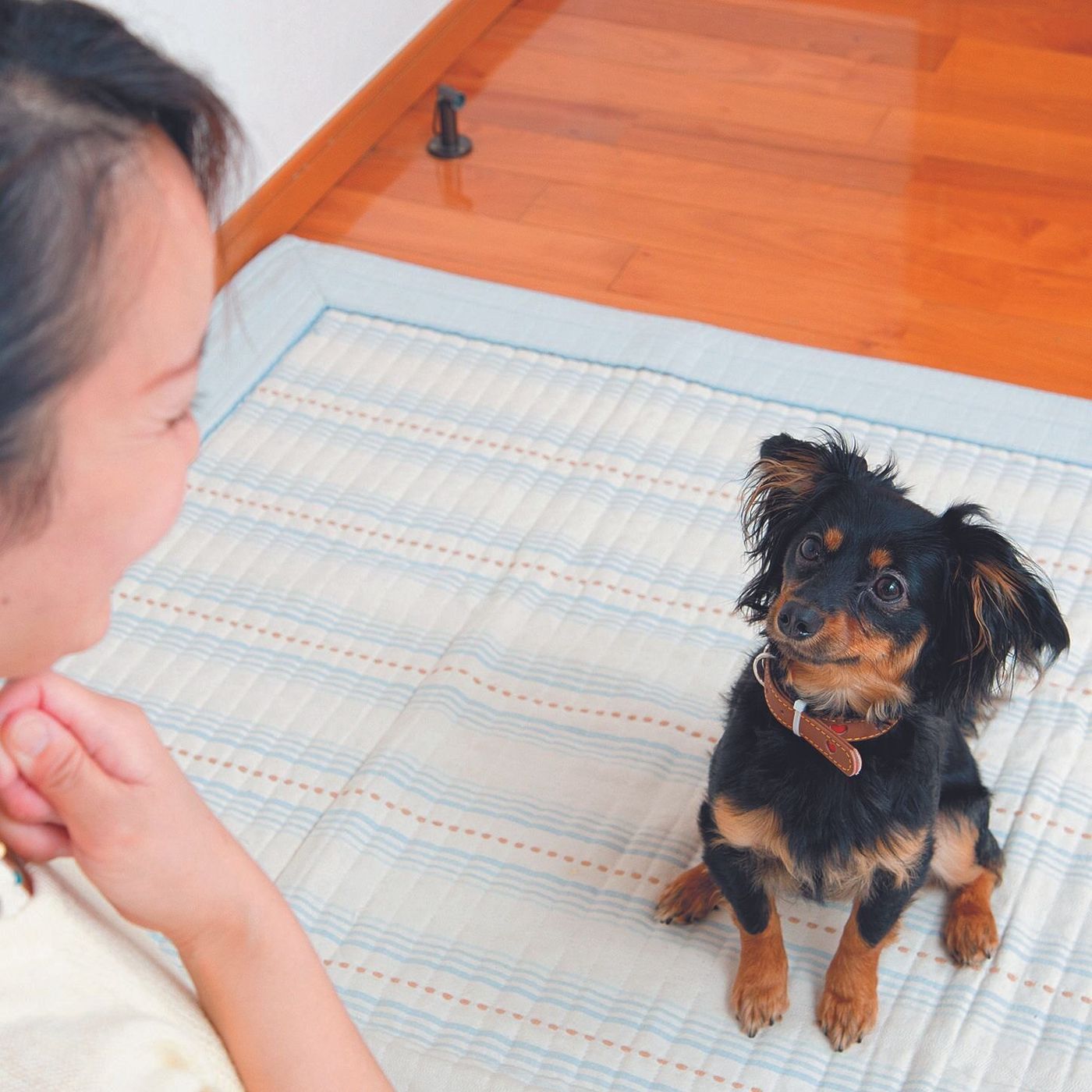 犬が1才になるまでに 知っておくべき 犬用語5つ いぬのきもちweb Magazine 犬が1才になるまでに 知っておくべき 犬用語5つ いぬのきもちweb Magazine