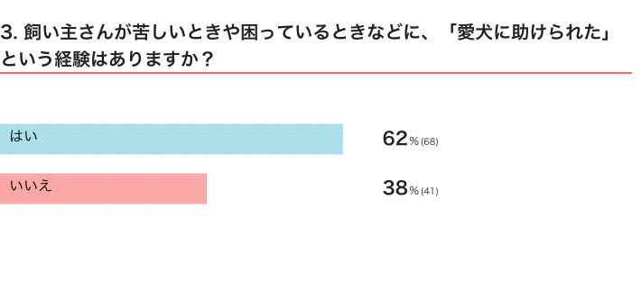 いぬのきもちWEB MAGAZINE『「犬飼いあるある」に関するアンケートvol.21』　109件の回答