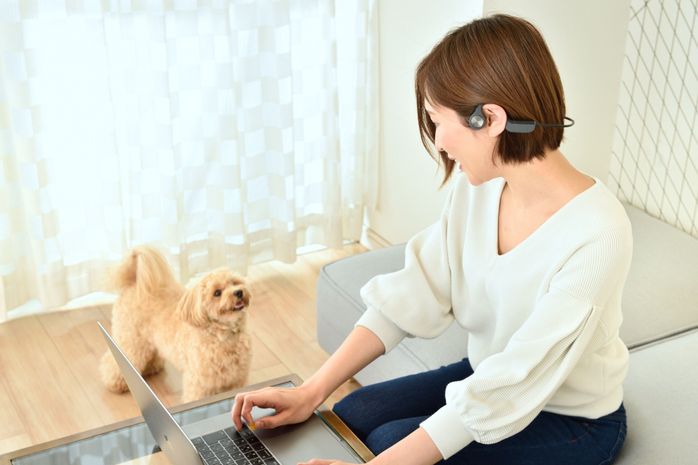 リモート会議中の飼い主と犬