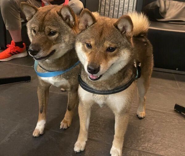 ケンくんとリクくん