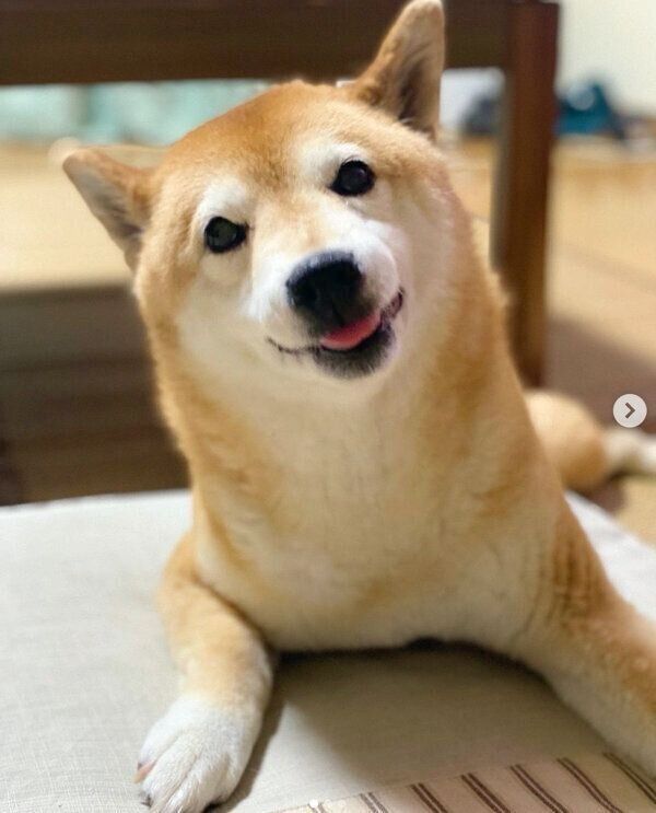 笑顔が可愛いうららちゃん