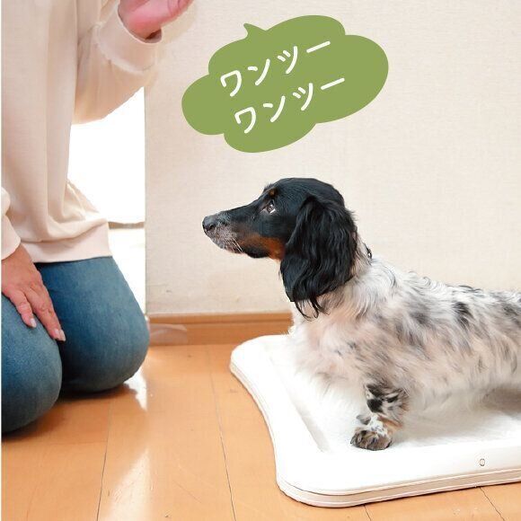 撮影／尾﨑たまき