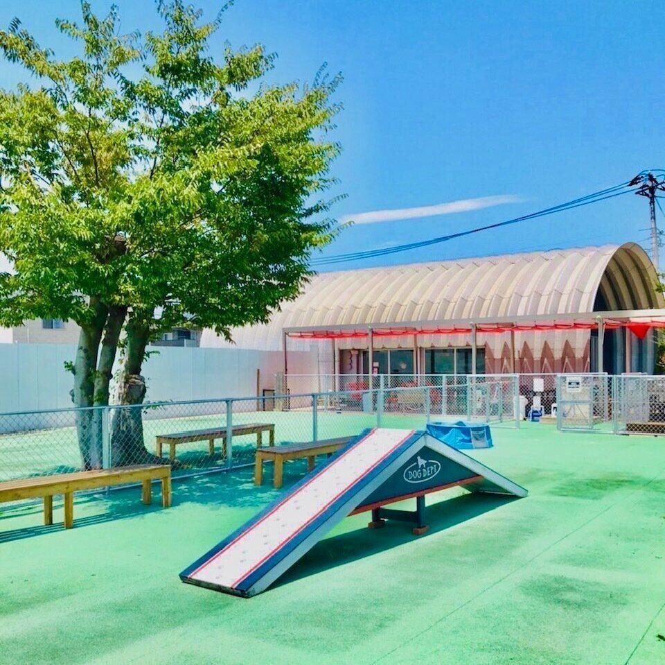 アジリティーのあるドッグラン