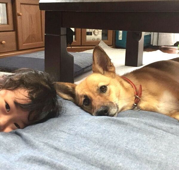 仲良しなこむぎちゃんと娘さん