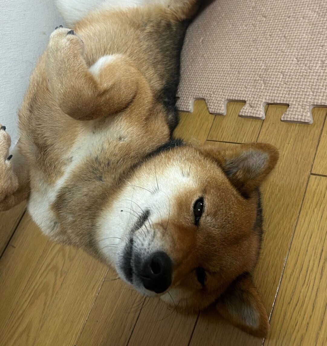 ヘソ天で「いってらっしゃい」をするお嬢ちゃん