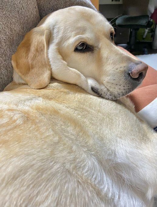 魅力たっぷりの口元のタプタプ