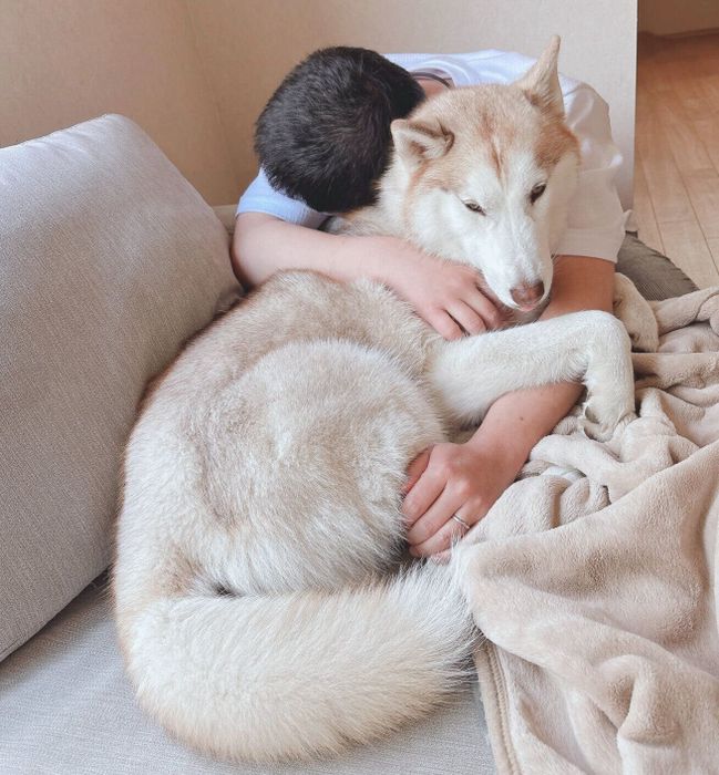 パパさんとくっつくアイリスちゃん