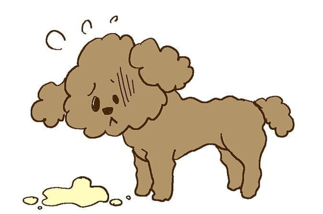 犬に絶対に与えてはいけない 要注意の食べ物って 意外な落とし穴に要注意 いぬのきもちweb Magazine 犬に絶対に与えてはいけない 要注意の食べ物って 意外な落とし穴に要注意 いぬのきもちweb Magazine