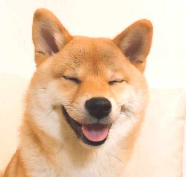 笑顔の龍乃子姫ちゃん