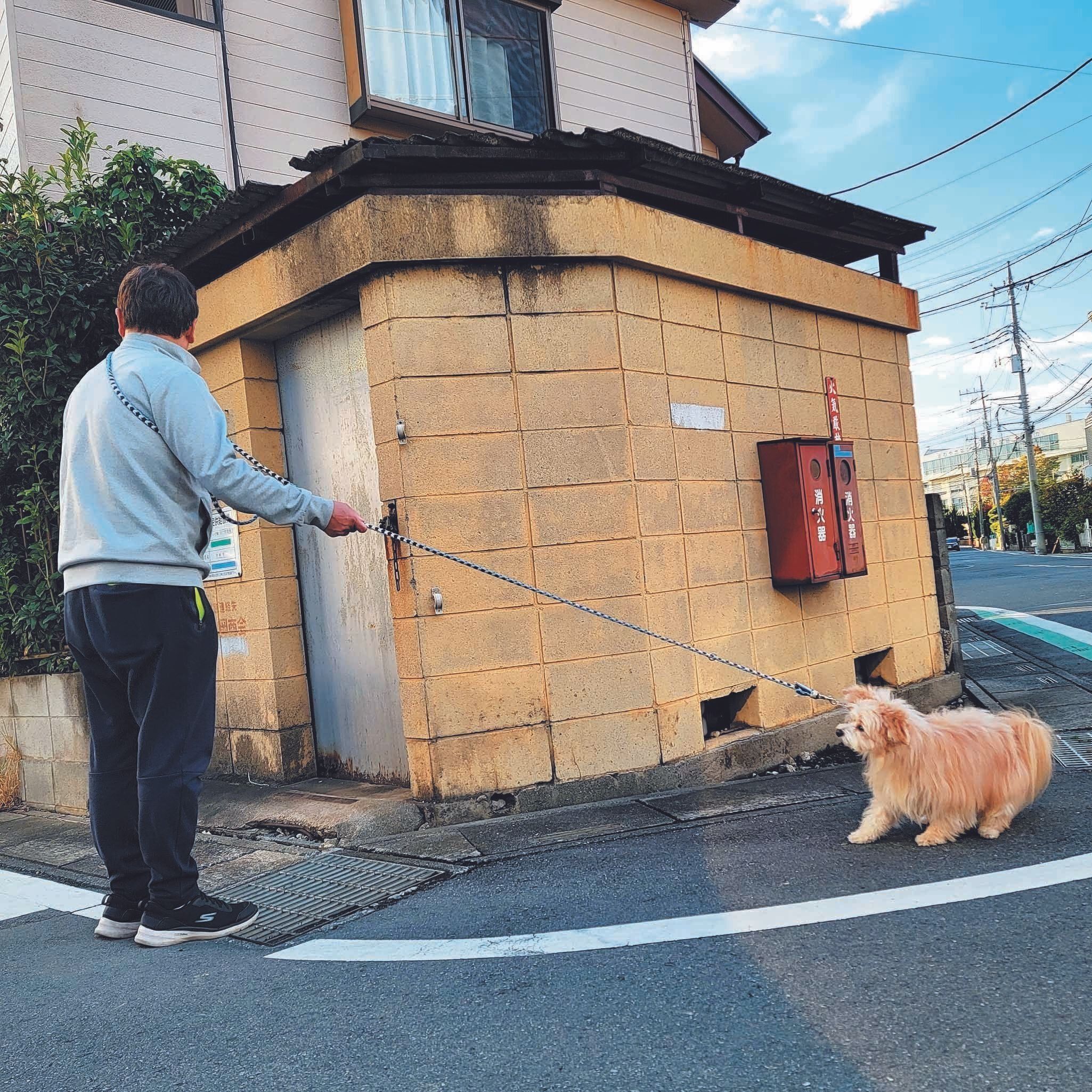 写真提供／K.T.さん