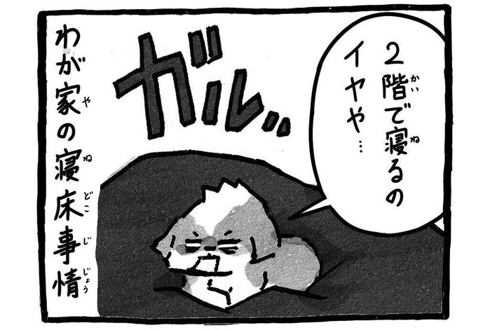 シーズー犬マンガてんぽshihtzu