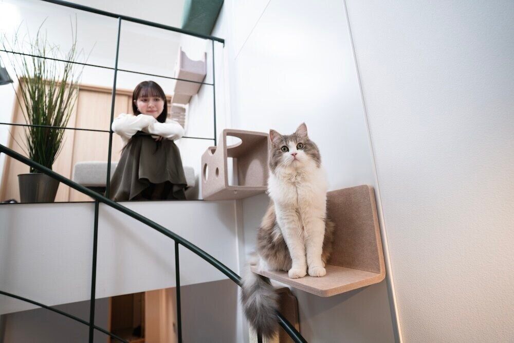 フジタ　大和リビング　リーラ横浜川和町　月次健診　犬猫合わせて4頭　マンション　賃貸マンション　いぬのきもち　いぬ　いぬねこ