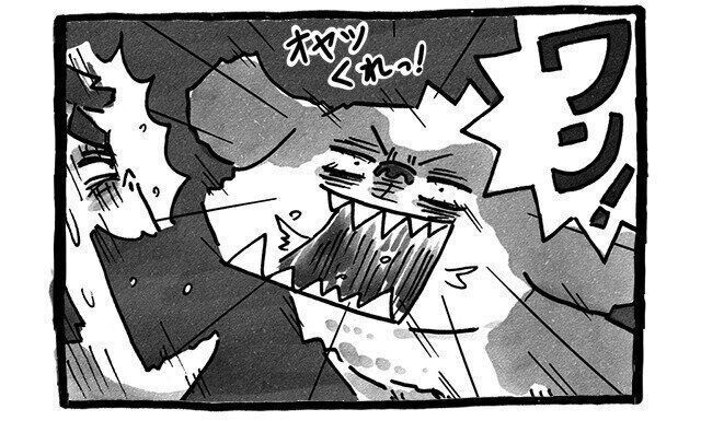 シーズー犬マンガてんぽshihtzu