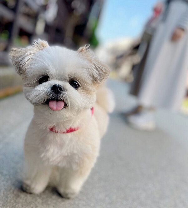 笑顔が可愛いみかんちゃん