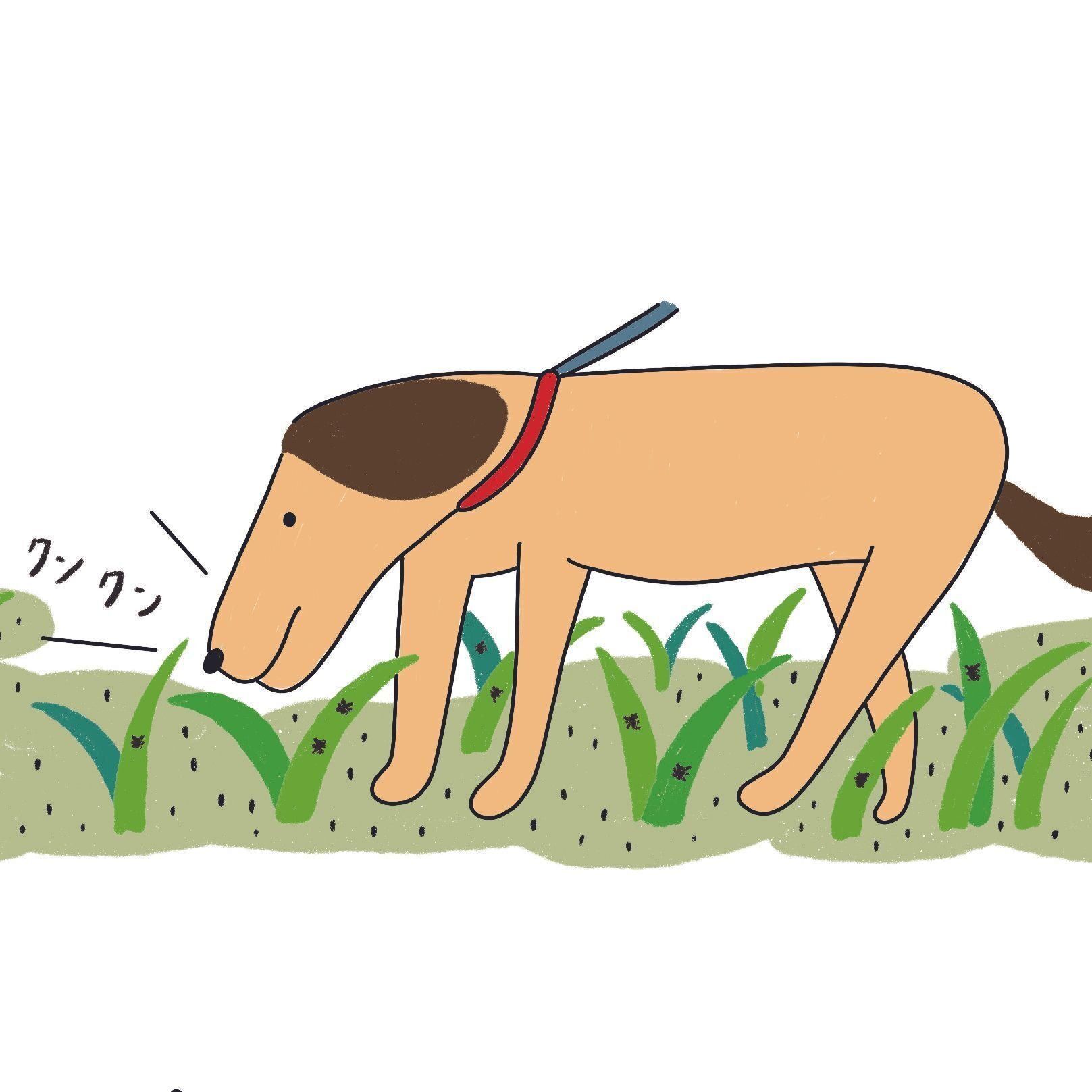 イラスト／ナカオテッペイ