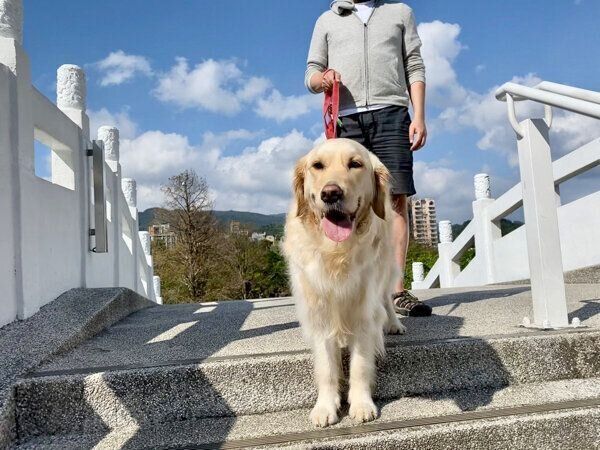 お出かけを楽しむHanaちゃん