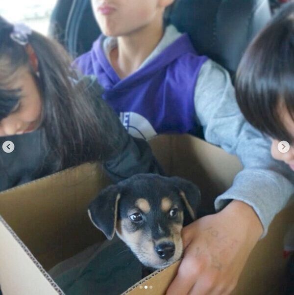 家に迎えた頃のラックくん