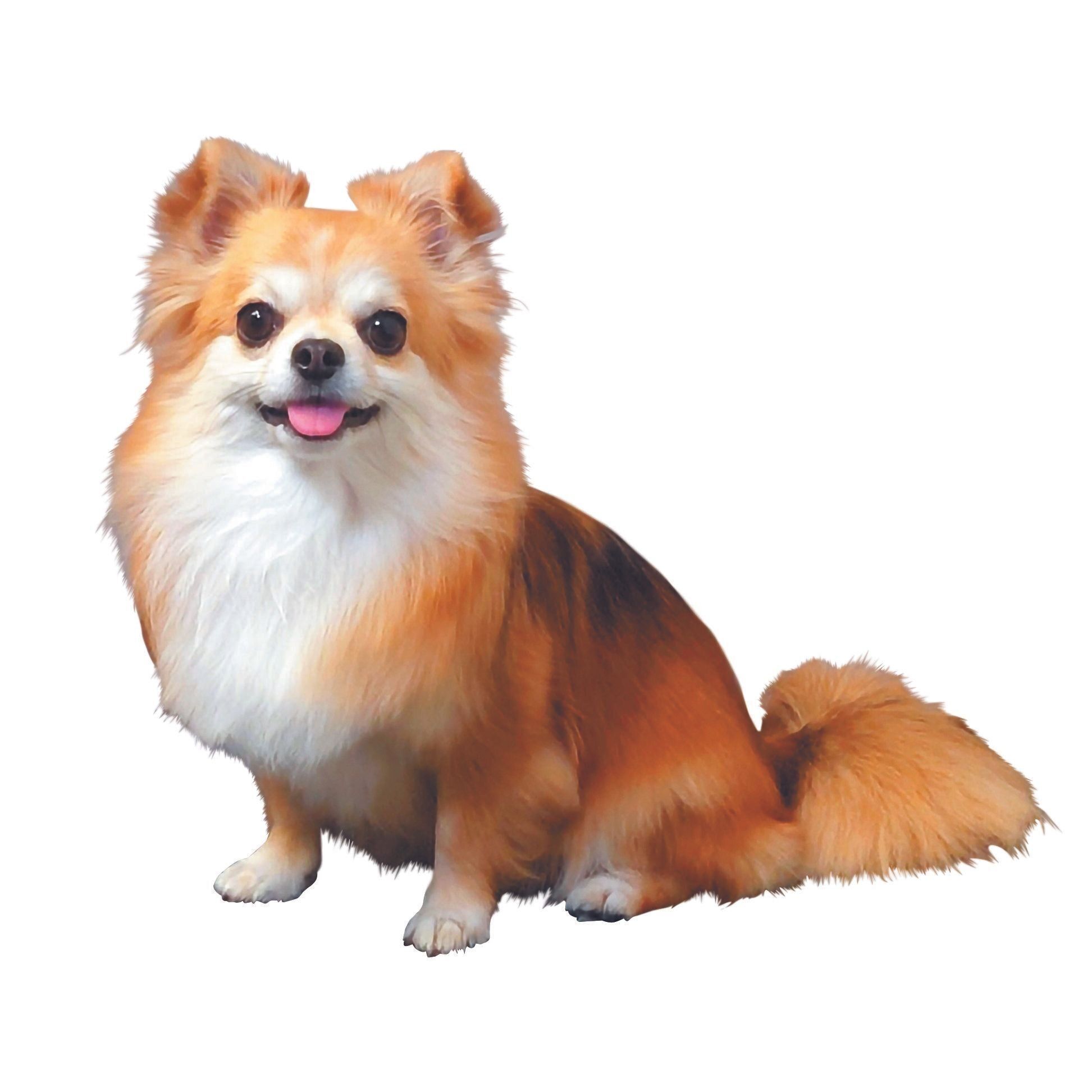 1才からは“キツネ”カラーに