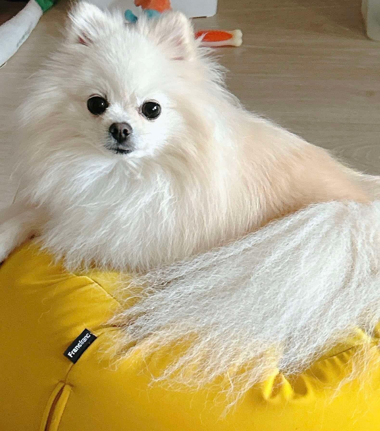 成長したそらくん