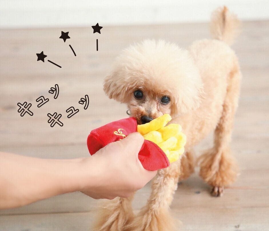 撮影／尾﨑たまき