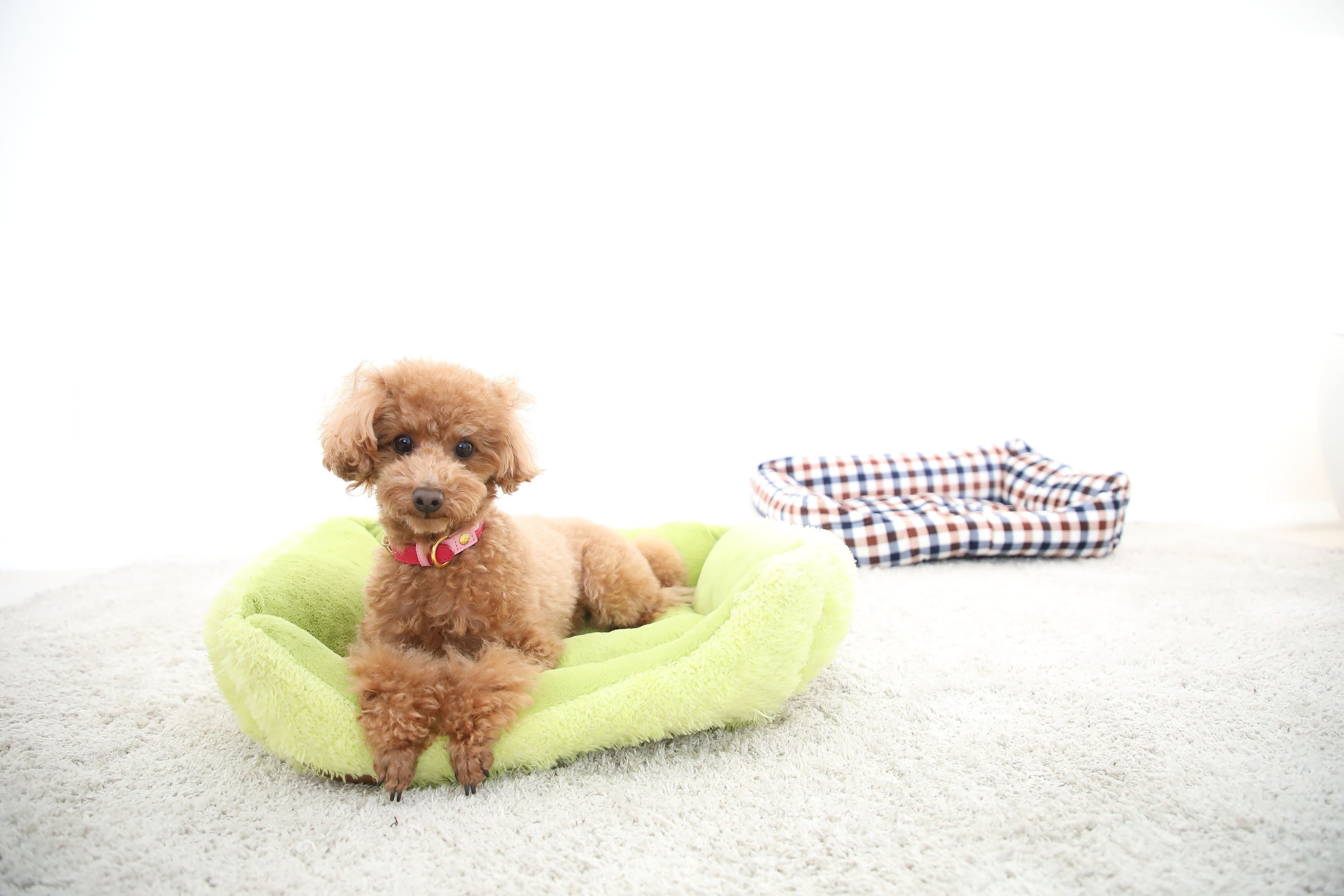 撮影／尾﨑たまき