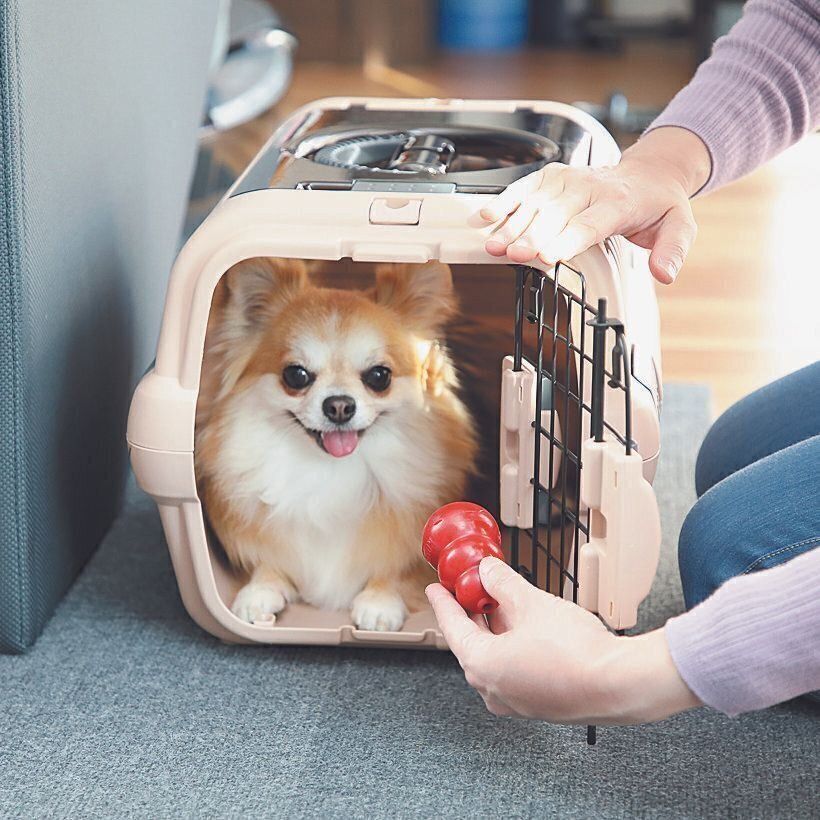 撮影／尾﨑たまき