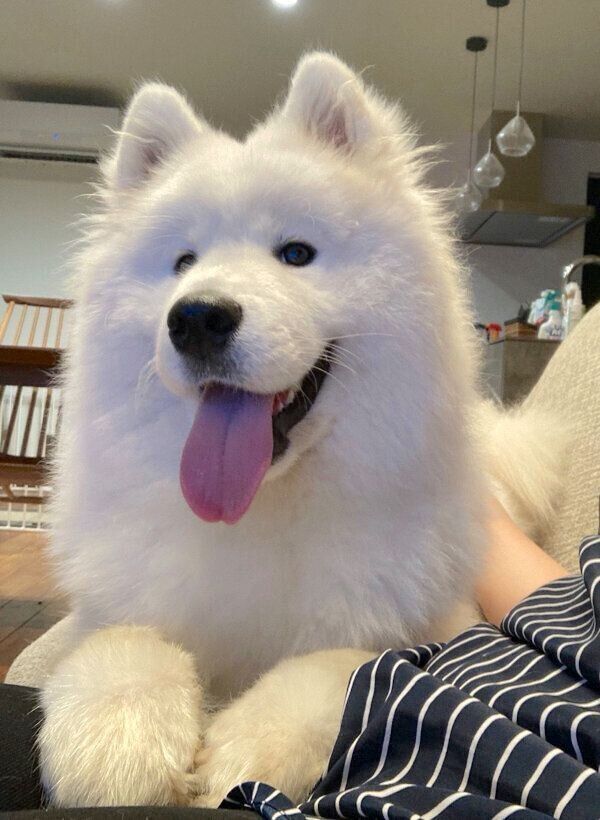 まったりするラキシスちゃん