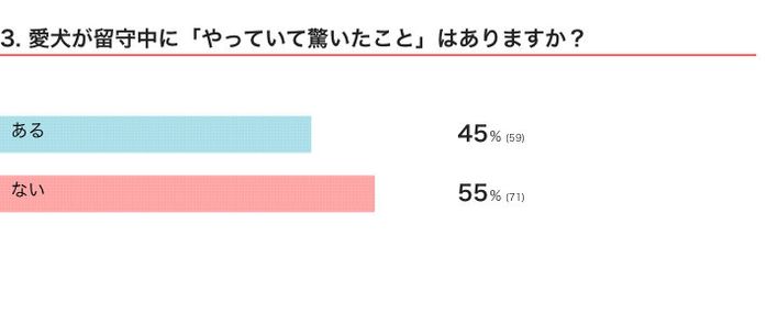 愛犬が留守中に「やっていて驚いたこと」はある?