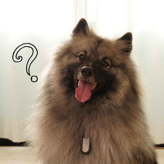 撮影／殿村忠博