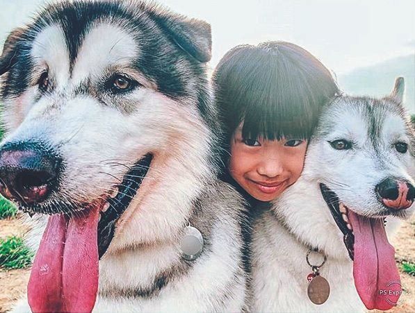 抱きついたりいっしょに寝たり……日々戯れている小学生の娘さんと。３頭とは「きょうだいみたいないい関係です」