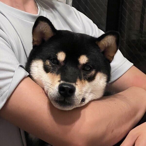 抱っこされるすみくん