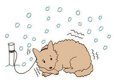 イラスト／大塚砂織