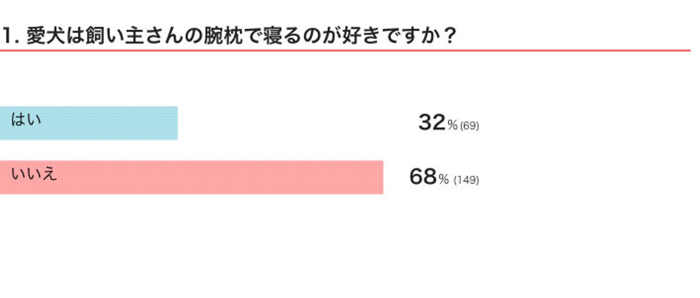 飼い主の 腕枕 で寝るのが好きな犬の心理は 注意点などを獣医師が解説 いぬのきもちweb Magazine 飼い主の 腕枕 で寝るのが好きな犬の心理は 注意点などを獣医師が解説 いぬのきもちweb Magazine
