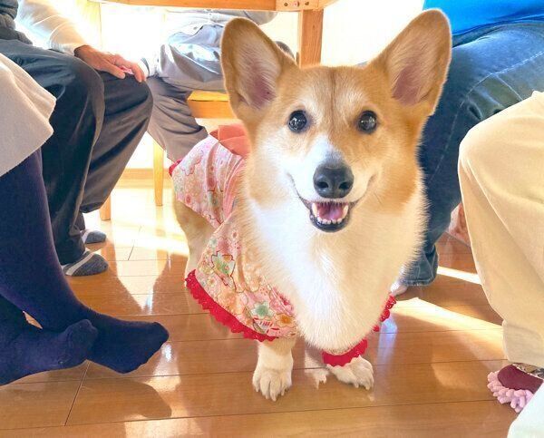 笑顔のベルちゃん