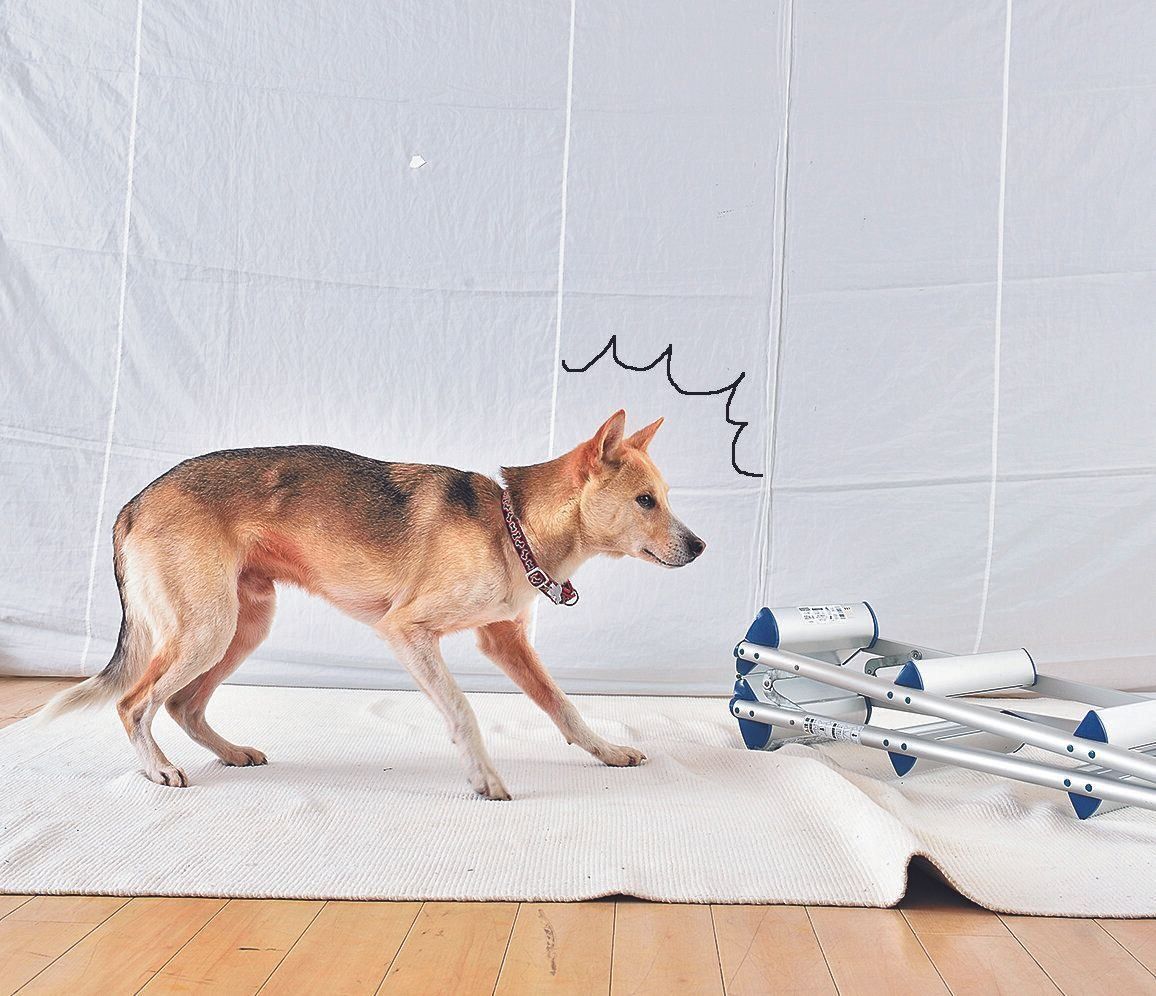 「これは何!? 怖い！」