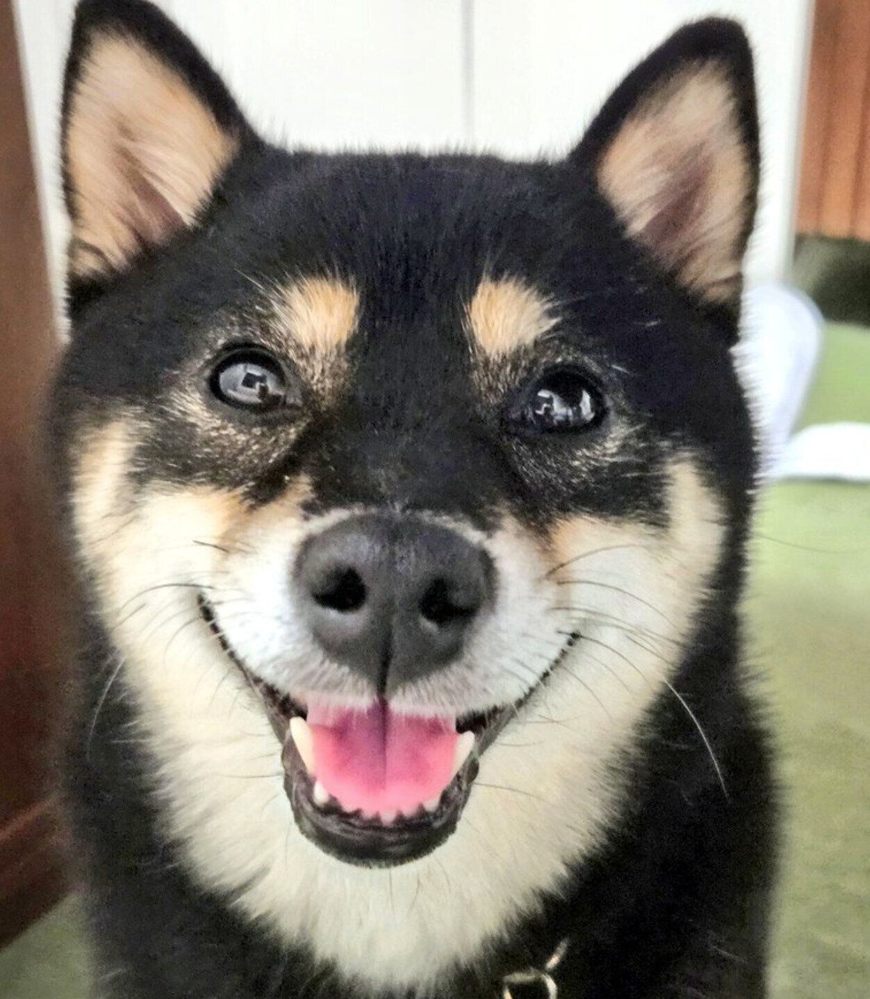 ジャーキーがあるとわかって笑顔を見せる夜ちゃん