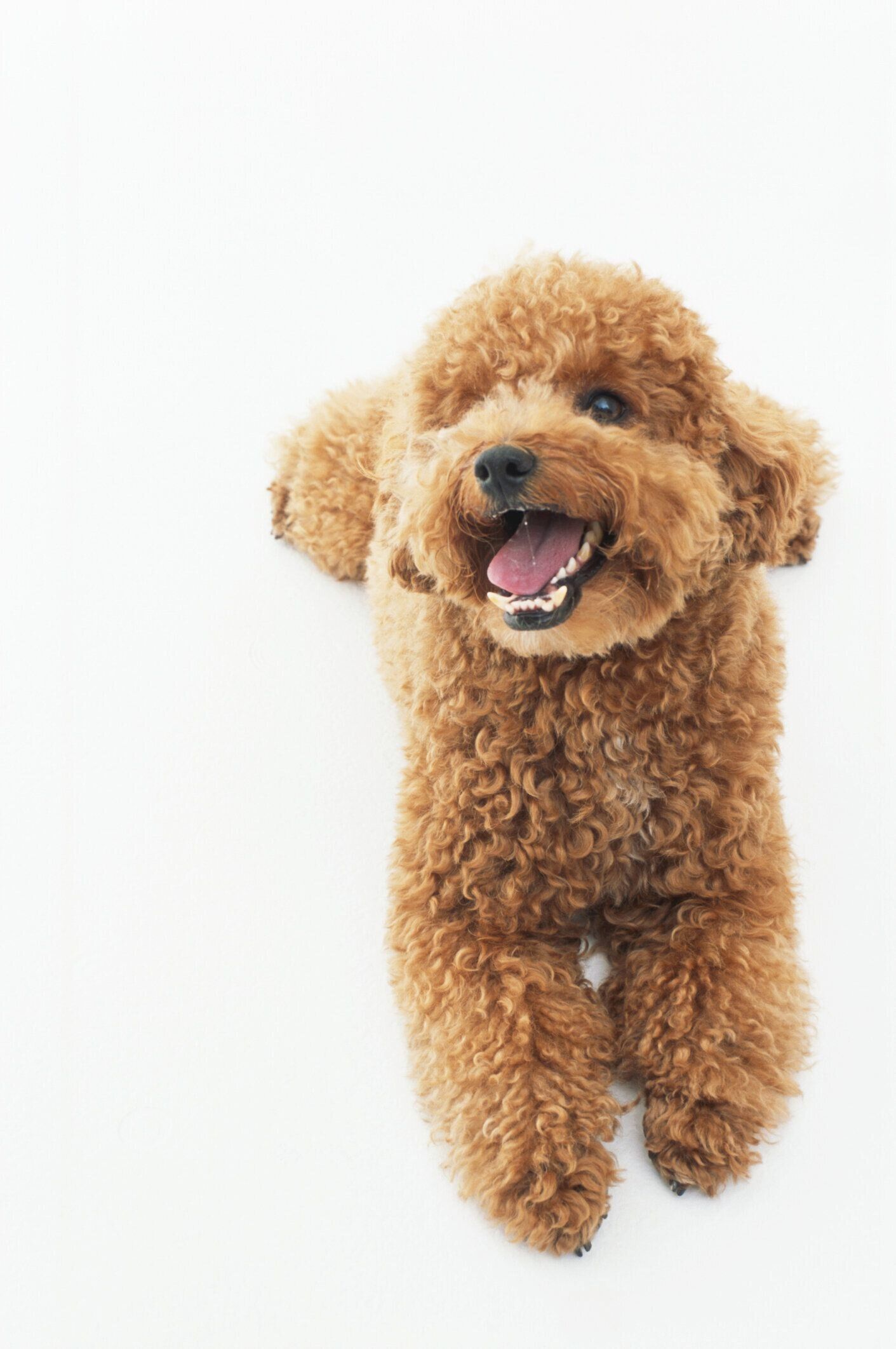 Hitoshi Nishimura/gettyimages