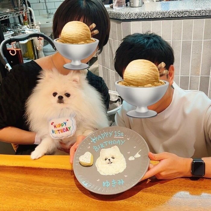 1才を迎えたゆきみちゃん