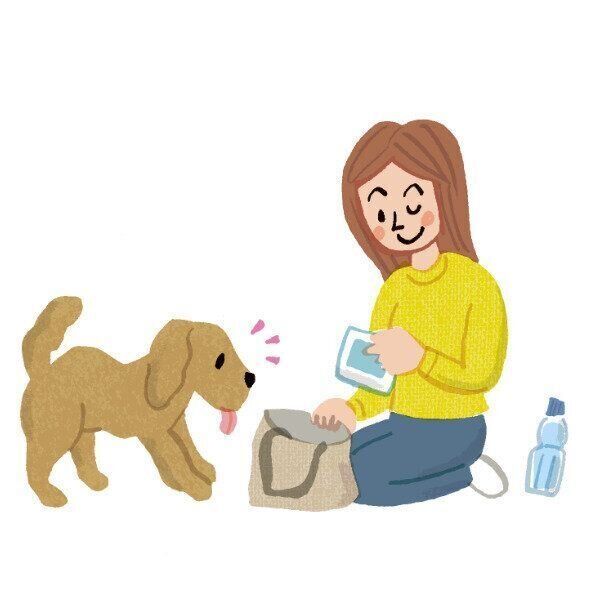 イラスト／橋本豊