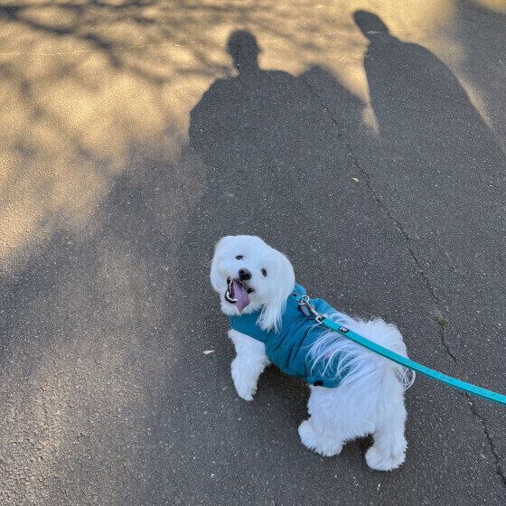 お散歩する凪くん