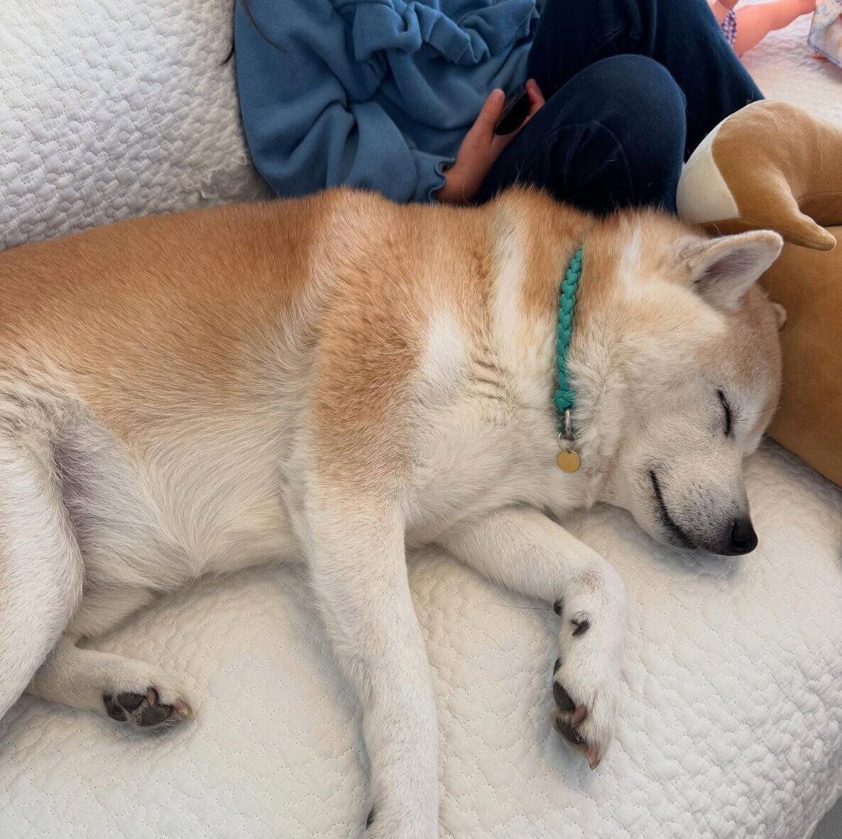 娘さんに寄り添うはるくん