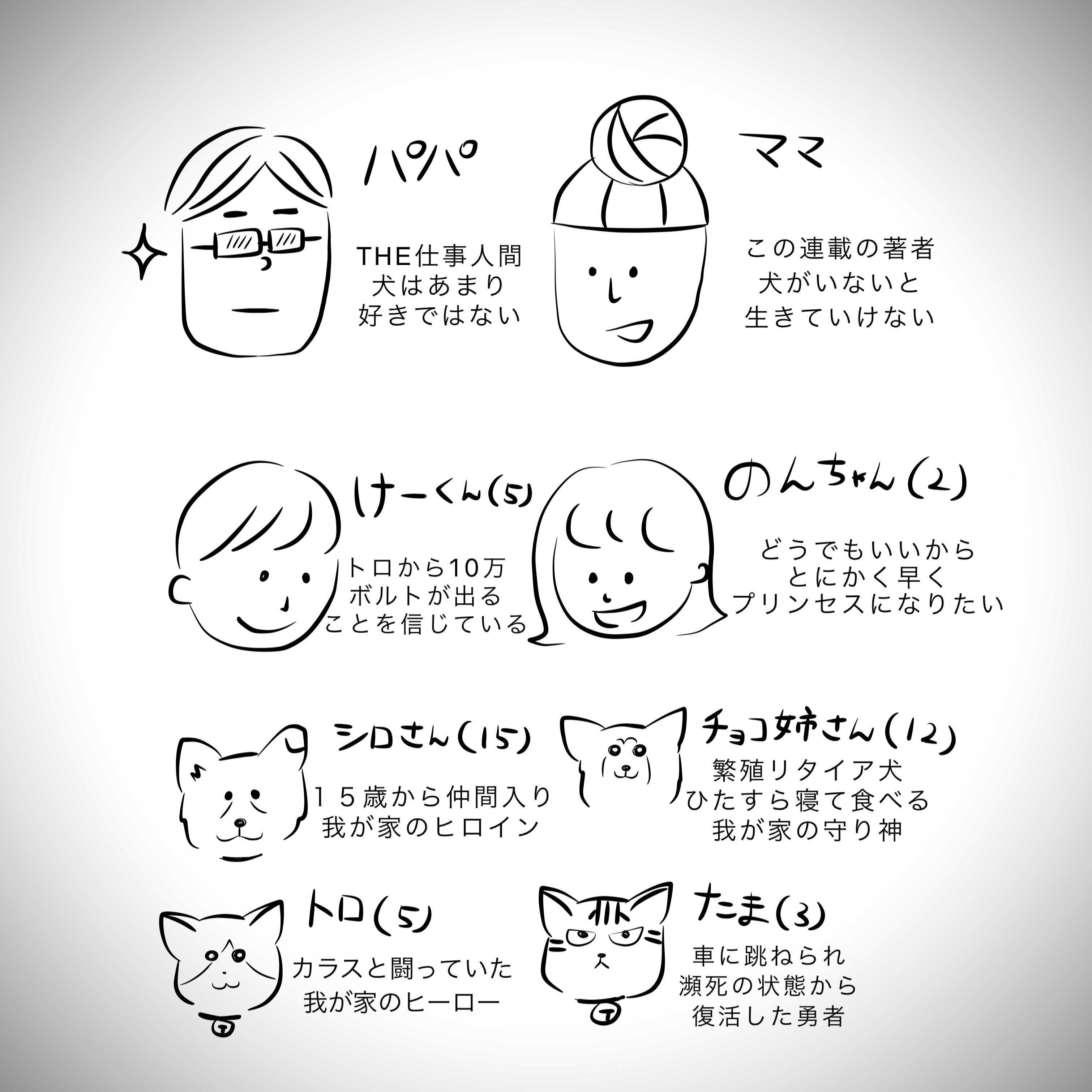 ストーカーして ストーカーされて 連載 おばあちゃん犬がやってきた 第18回 いぬのきもちweb Magazine