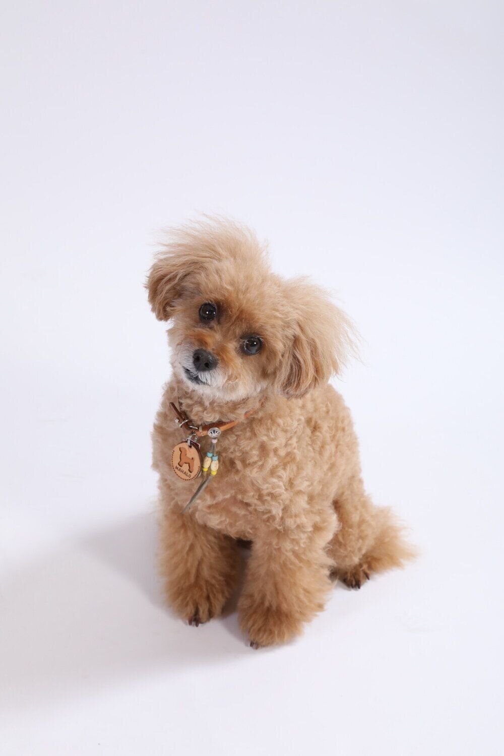 人とは違うポイントが