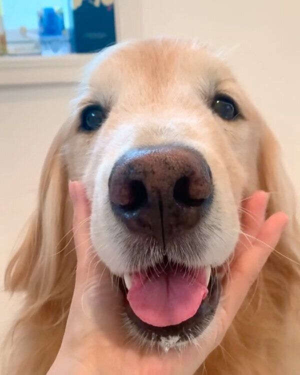 笑顔が可愛いエリックくん