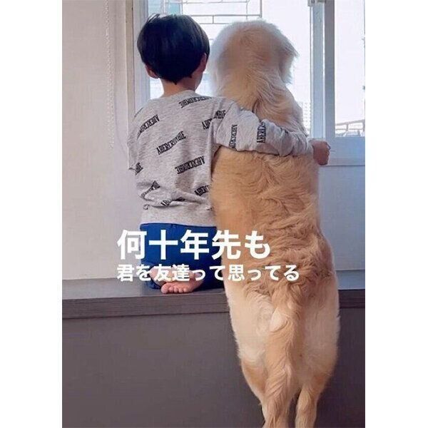 仲良く外を見るテオくんと息子さん