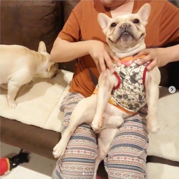 マッサージをしてもらうボブくん