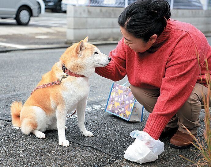 散歩中にほめられる犬