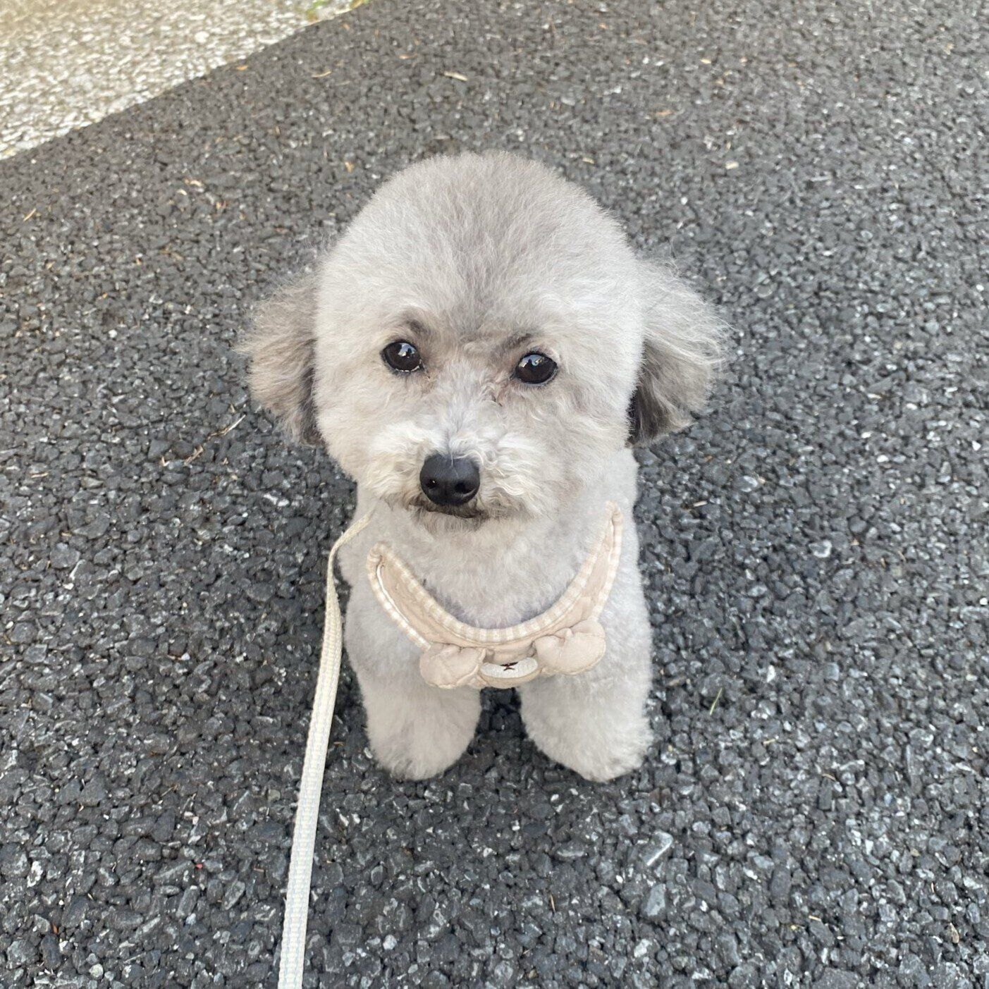かわいい「まゆげ」がチャームポイントだというあたりちゃん